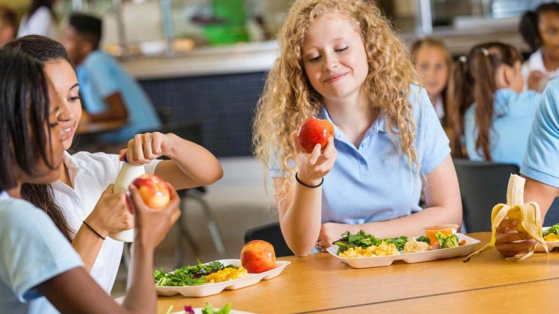 Program Diet Yang Sehat dan Tepat Untuk Para Remaja I